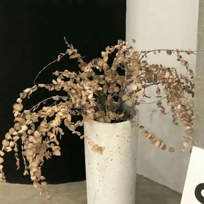 Furry插画线稿分享福瑞交流群